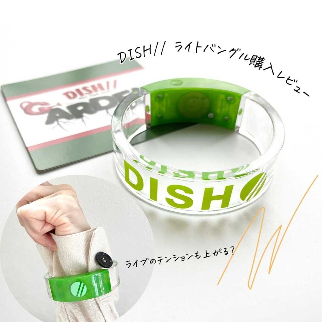 DISH// ライブ参戦にライトバングルは必要？ペンラ民が購入してみた