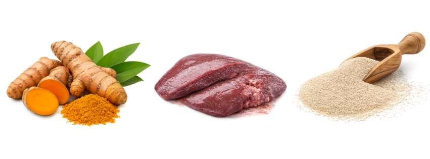 LipoCURの配合成分